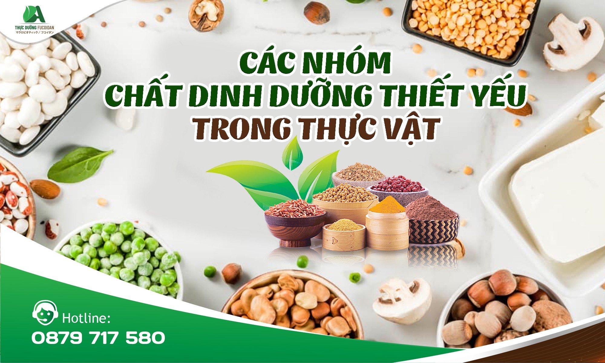 Các nhóm chất dinh dưỡng thiết yếu trong thực vật